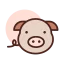 Pig ícono 64x64