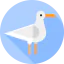 Seagull icon 64x64