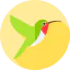 Humming bird icon 64x64