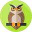 Owl icon 64x64