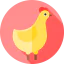 Chicken icon 64x64