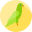 Parrot icon 64x64