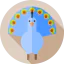 Peacock icon 64x64