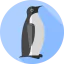 Penguin icon 64x64