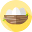 Nest icon 64x64