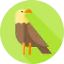 Eagle icon 64x64
