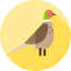 Pheasant icon 64x64