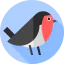 American robin icon 64x64