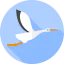 Stork icon 64x64