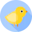 Chick icon 64x64