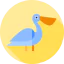 Pelican icon 64x64