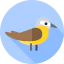 Wagtail icon 64x64