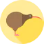 Kiwi icon 64x64