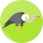 Vulture icon 64x64