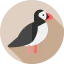 Puffin icon 64x64