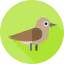 Nightingale icon 64x64