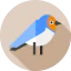 Barn swallow icon 64x64