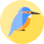 Kingfisher icon 64x64