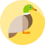 Mallard duck 图标 64x64