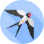 Swallow icon 64x64