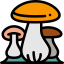 Mushrooms icon 64x64