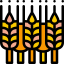 Wheat icon 64x64