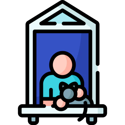 Window icon