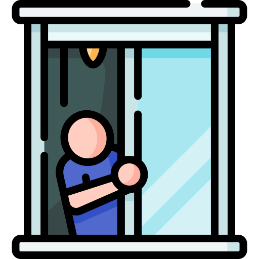 Window icon