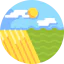 Field icon 64x64
