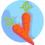 Carrot icon 64x64