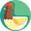 Chicken icon 64x64