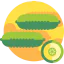 Cucumber icon 64x64