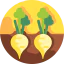 Beet icon 64x64