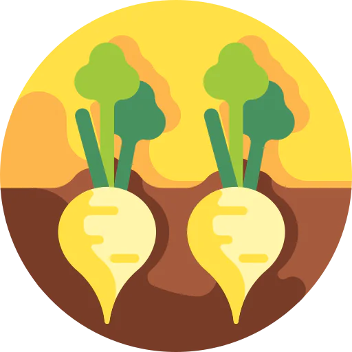 Beet icon