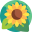 Sunflower icon 64x64