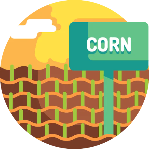 Corn icon