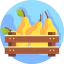 Pear icon 64x64