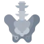 Pelvis Symbol 64x64