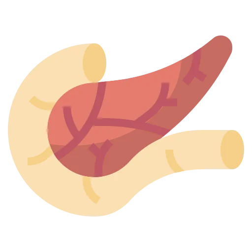 Pancreas icon