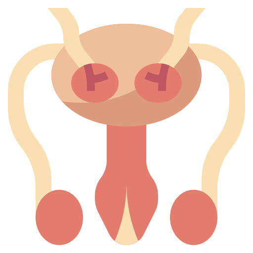 Reproductive system Symbol