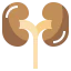 Kidneys biểu tượng 64x64