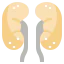 Kidneys Symbol 64x64