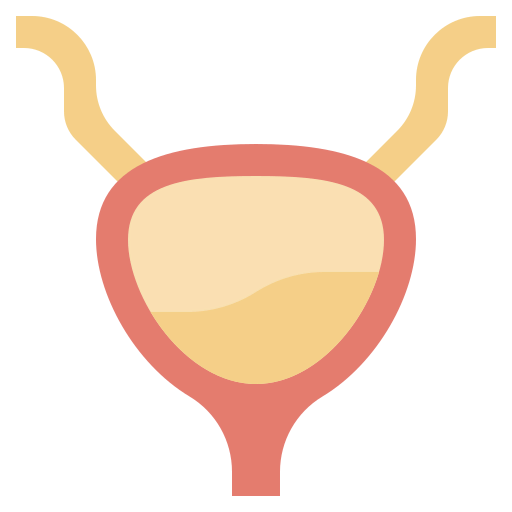 Bladder Symbol