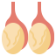 Testicles Symbol 64x64