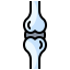 Knee joint Symbol 64x64