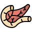 Pancreas icon 64x64