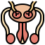 Reproductive system Ikona 64x64