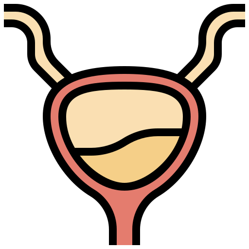 Bladder 图标