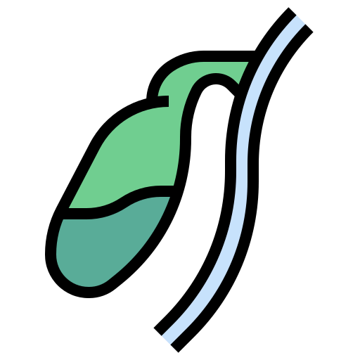 Gallbladder icon