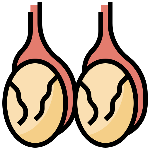 Testicles icon